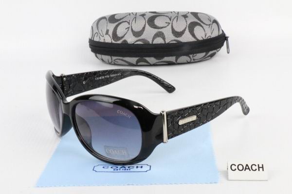 C0ACH Boutique Sunglasses 041